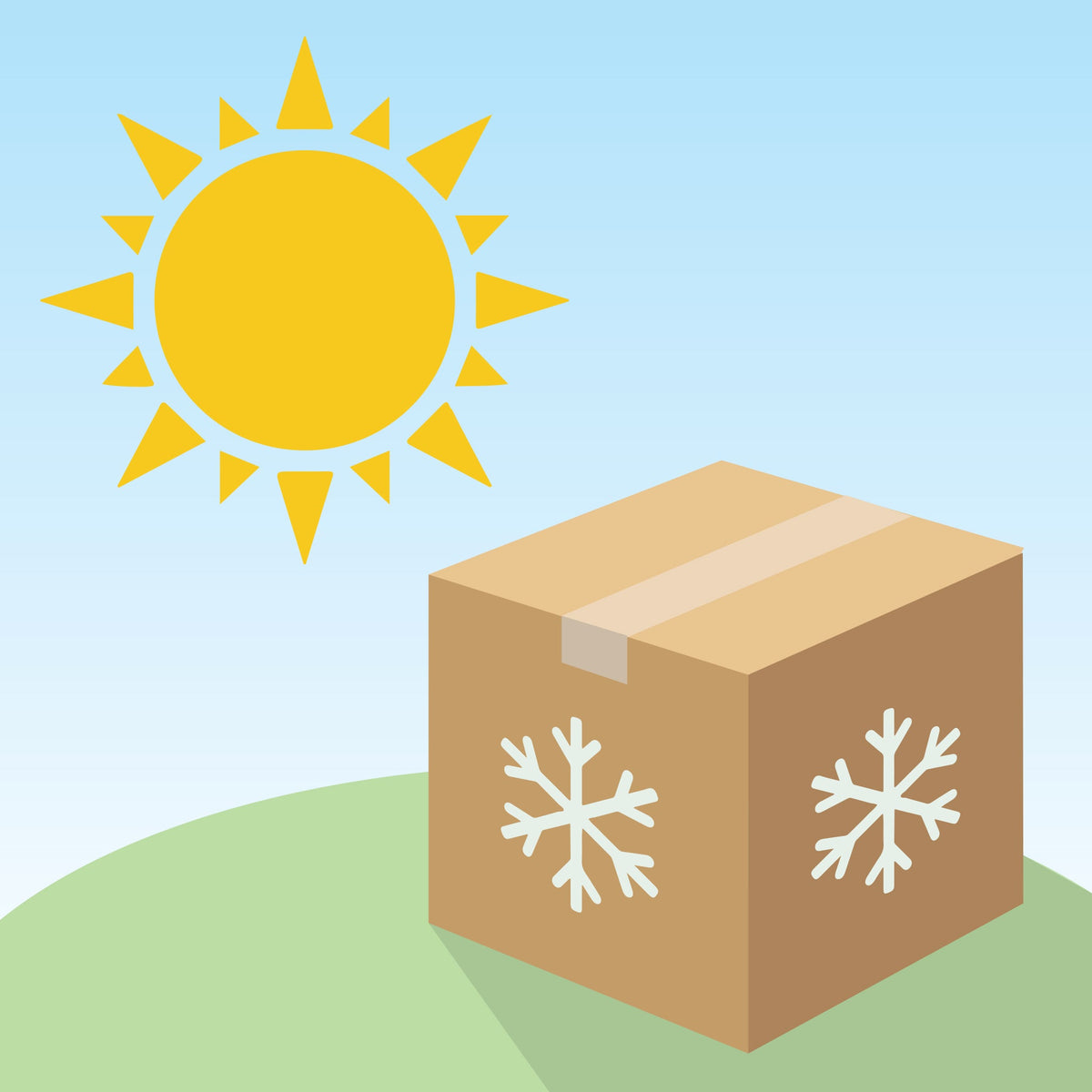 Summer Packaging