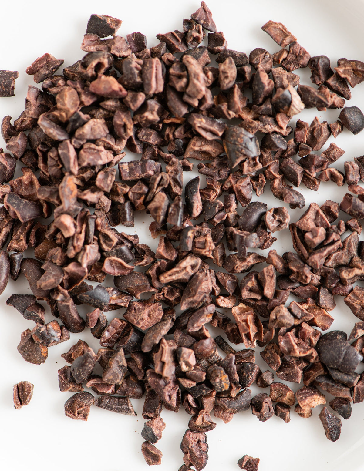 Organic Dominican Republic Cacao Nibs